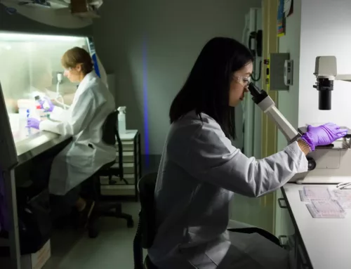 Kupffer Cells in Liver Research: Their Role in Immunity and Drug Metabolism