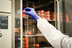 Harnessing Liver Cell Regeneration
