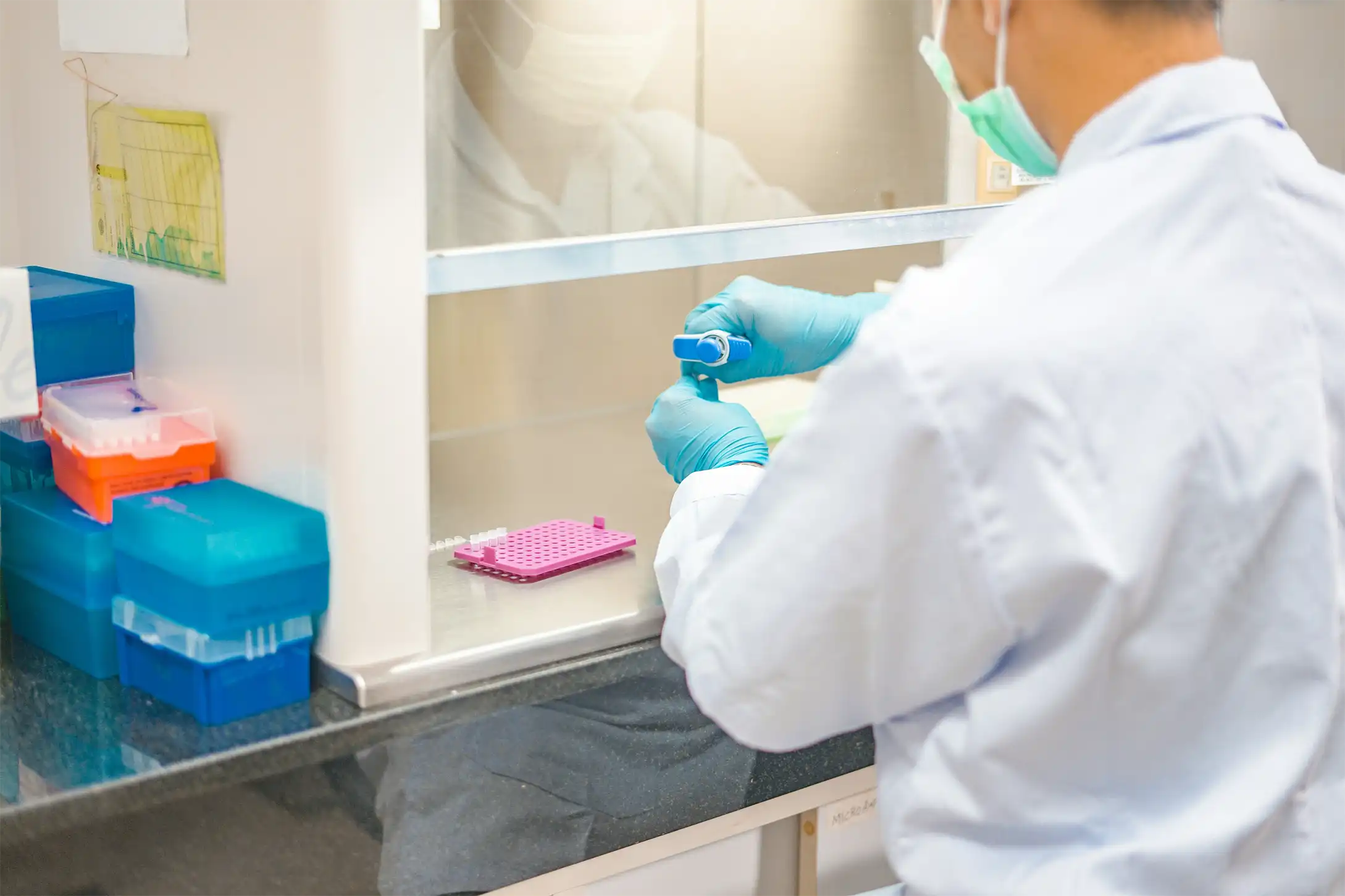 Organoids Technology: From Primary Hepatocytes to Disease Modeling