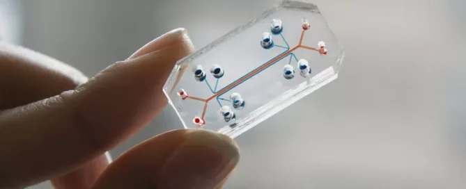Organ-on-Chip Technology