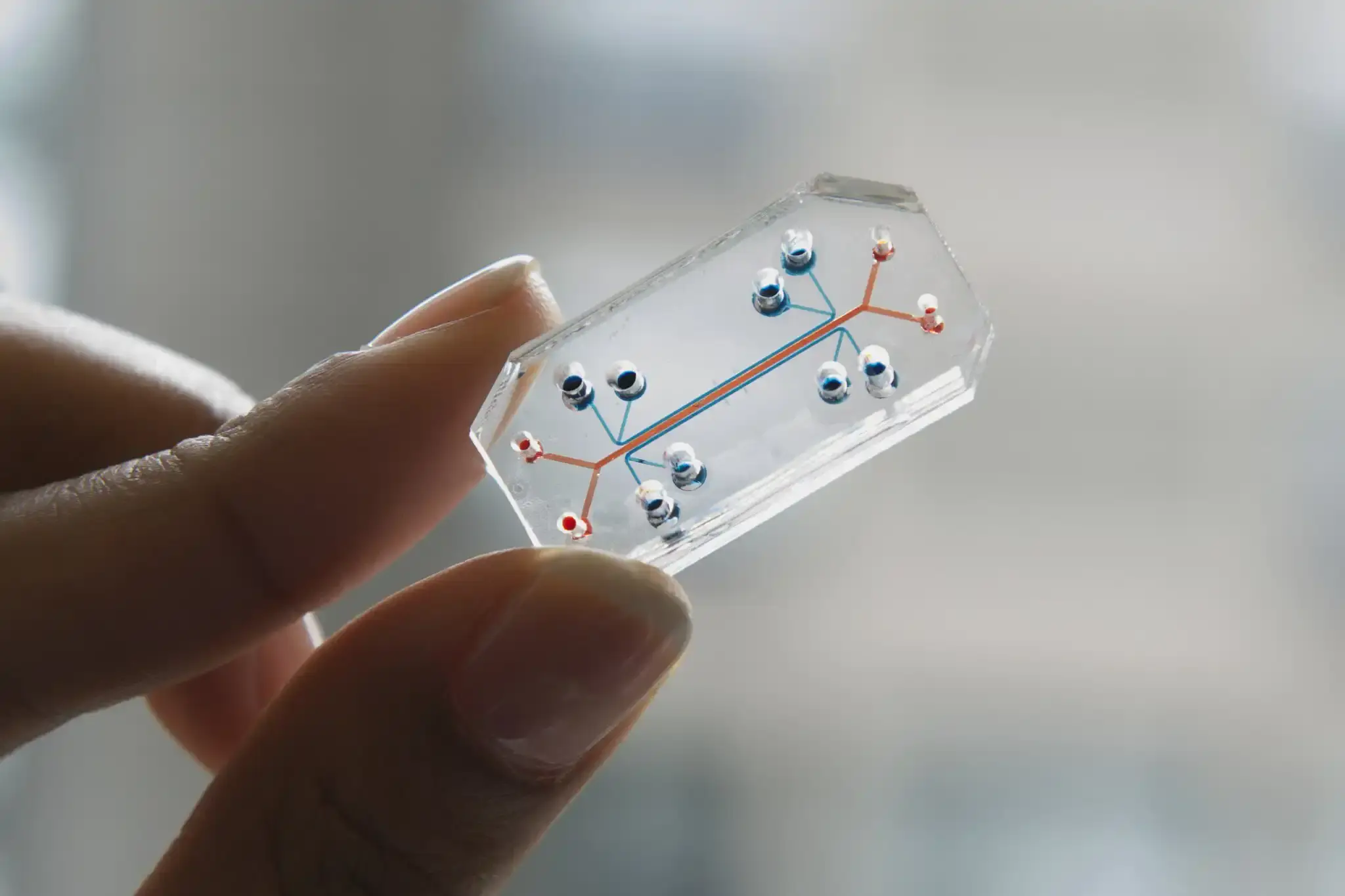 Organ-on-Chip Technology